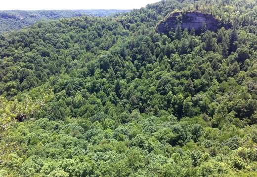 JMT Overlook, Big South Fork - 22